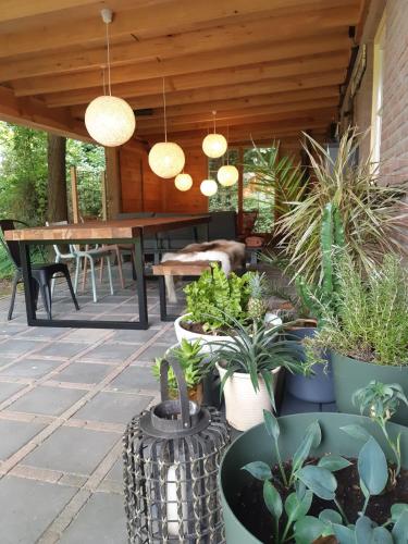 Tiny House met sauna, vrij uitzicht, midden in de natuur