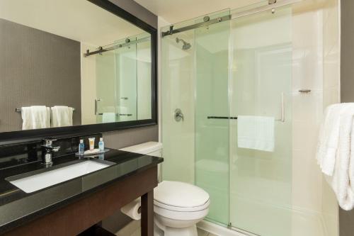 苏圣玛丽Comfort Inn Sault Ste Marie的一间带卫生间和玻璃淋浴间的浴室