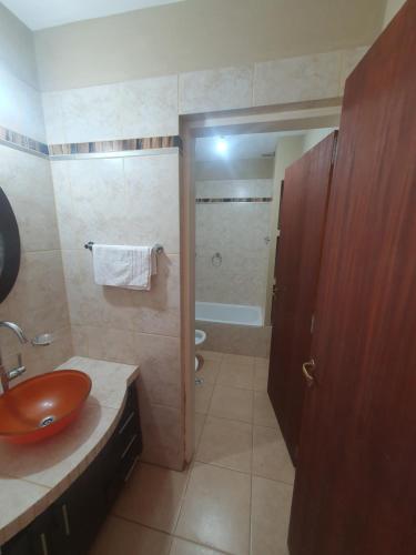 圣萨尔瓦多德朱Alq Toba- Hermoso Duplex en Bajo la Viña的一间带红色水槽和淋浴的浴室