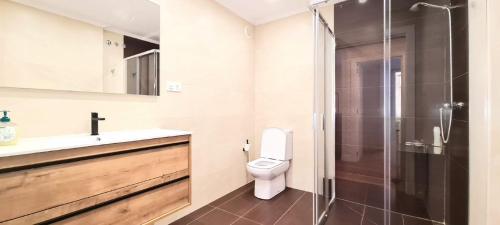 杜兰戈PISO EN DURANGO的浴室配有卫生间、盥洗盆和淋浴。