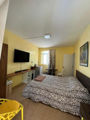 路易港Manuel's Apartment的配有一张床和一台平面电视的酒店客房