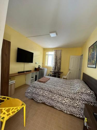 路易港Manuel's Apartment的配有一张床和一台平面电视的酒店客房