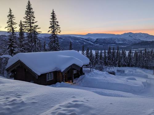 贝特斯托尔Liaplassen Fjellhytte的山中雪覆盖的小木屋