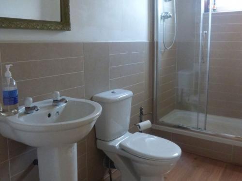 乔利Inglewood的浴室配有卫生间、盥洗盆和淋浴。