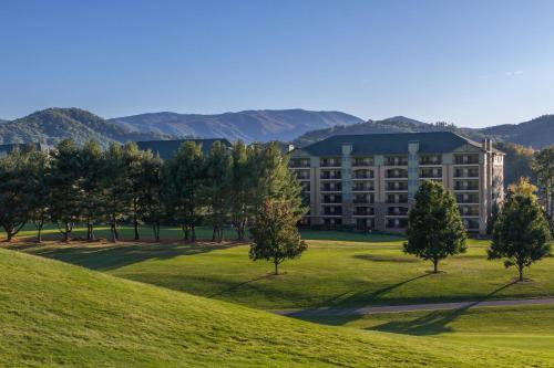 鸽子谷RiverStone Condo Resort & Spa的一座草木茂密的山丘上,前面有树木