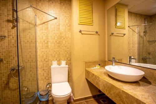 İznikOlive Garden Hotel的浴室配有卫生间、盥洗盆和淋浴。