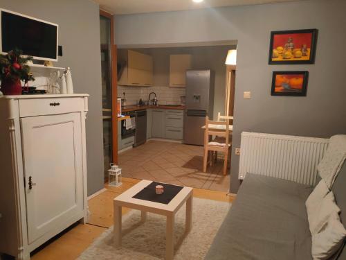 弗罗茨瓦夫弗罗茨瓦夫马洛夫公寓的客厅配有沙发和桌子