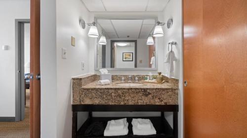 夏洛特315 LoSo Hotel Airport的一间带水槽和镜子的浴室