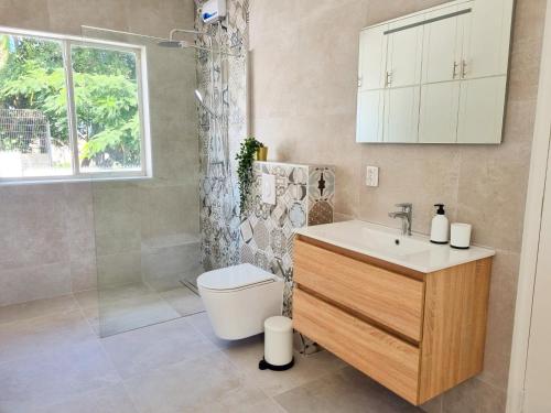 威廉斯塔德Studio Apartment Volterra Curacao的浴室配有卫生间、盥洗盆和淋浴。