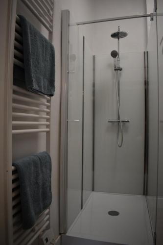 尼乌波特德阿伦德伽斯腾维比尔酒店的浴室设有玻璃淋浴间和蓝色毛巾
