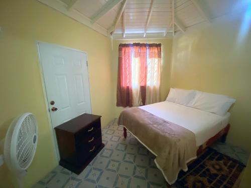 金斯敦Russell Heights Vacation Home的一间卧室配有一张床和一个带风扇的窗户。