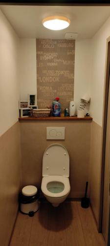 圣让皮耶德波尔La vita e bella的一间小浴室,内设卫生间