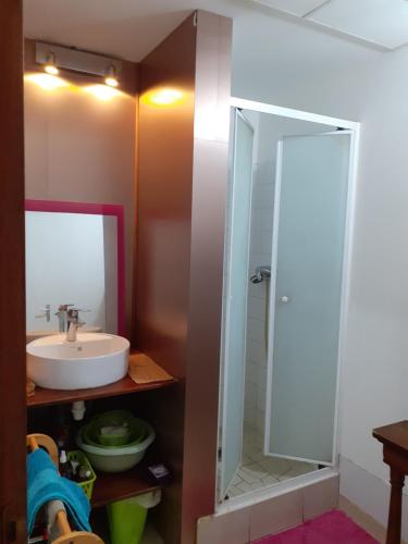 努美阿Chez Françoise的一间带水槽和镜子的浴室