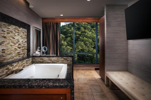 萨拉曼卡Seneca Allegany Resort & Casino的带窗户的浴室设有大浴缸