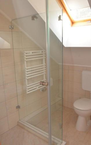 莫尔Belvárosi Vendégház的浴室设有玻璃淋浴间和卫生间