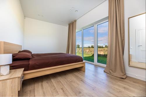 Užpelkiai360 Apartments的一间卧室设有一张床和一个大窗户