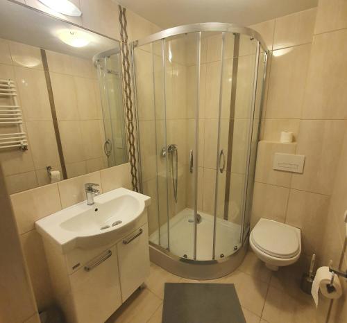 杜什尼基-兹德鲁伊Chata Zieleniecka的带淋浴、盥洗盆和卫生间的浴室