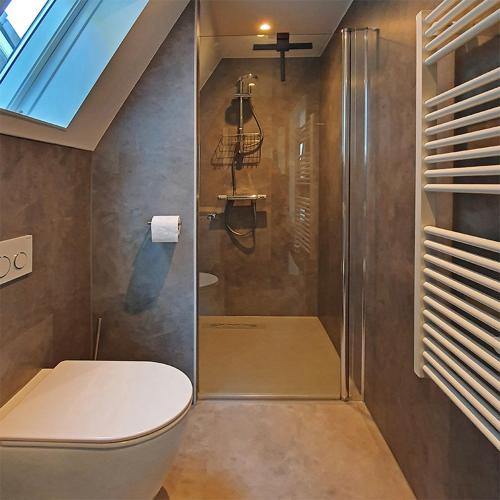 代尔登B&B Kamille的带淋浴、卫生间和盥洗盆的浴室