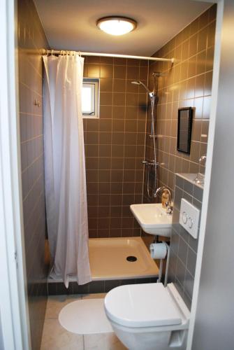 巴勒哈姆斯泰德泽奥星公寓的浴室配有卫生间、盥洗盆和淋浴。