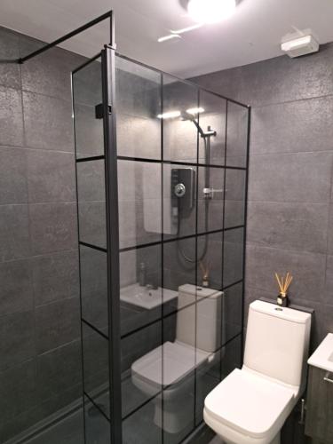 科芙SeaView Apartment Suite的浴室设有玻璃淋浴间和卫生间