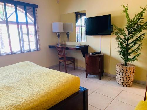 棕榈滩蛋白石之家酒店的一间卧室配有一张床、一张书桌和一台电视。