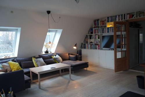 哥本哈根villa apartment with sea view的带沙发和电视的客厅