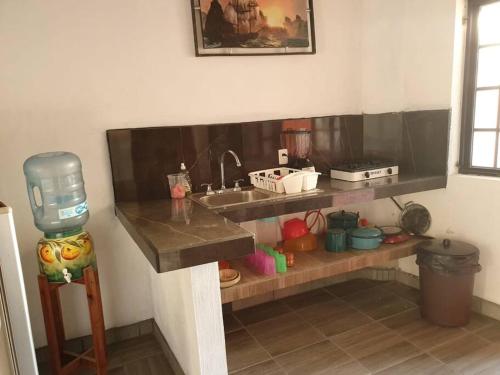 拉佩尼塔德加尔特姆巴C911 Casa 2 niveles y alberca privada的带水槽的柜台的厨房