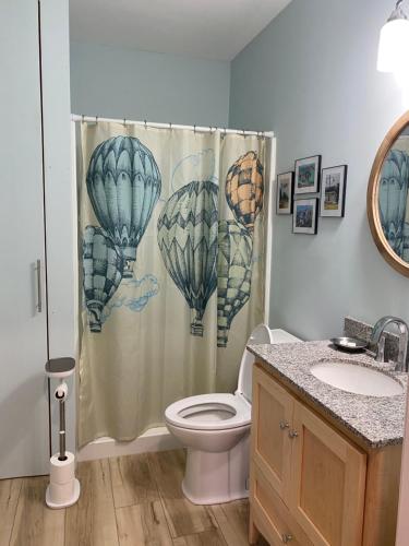 奥本Hasty House Studio的一间带卫生间和淋浴帘的浴室