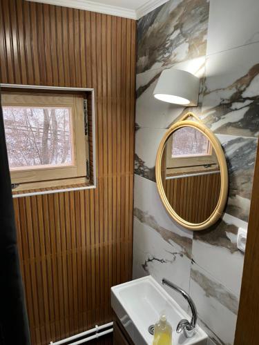 莫克拉戈拉米利夫公寓的一间带水槽和镜子的浴室