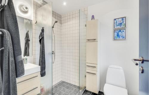 HårbyBeautiful Home In Haarby With Wifi的带淋浴和卫生间的白色浴室