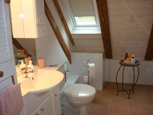 KirchbergVogesenparadies的一间带卫生间、水槽和窗户的浴室