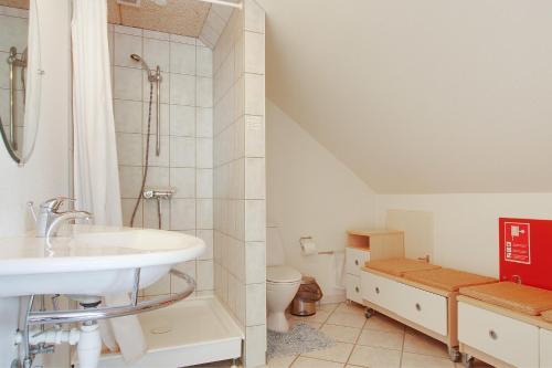 SigEgebjerggaard Bed & Breakfast的一间带水槽和卫生间的浴室