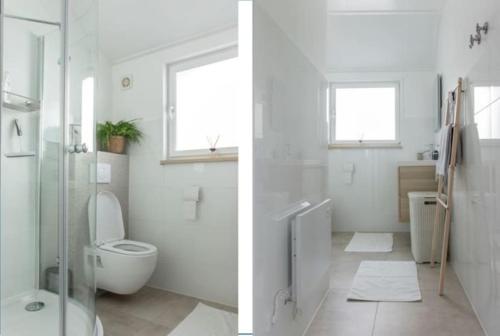 RucphenNatuurhuis Dichtby的浴室设有卫生间和水槽,两幅图片