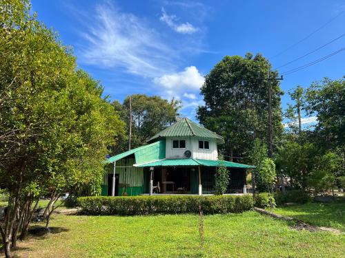 象岛LONELY GROOVE的庭院中带绿色屋顶的房子
