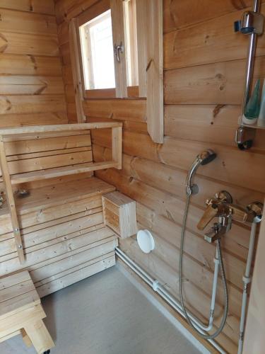 福尔萨Apteekkarinmökki的木制墙壁上带淋浴的浴室