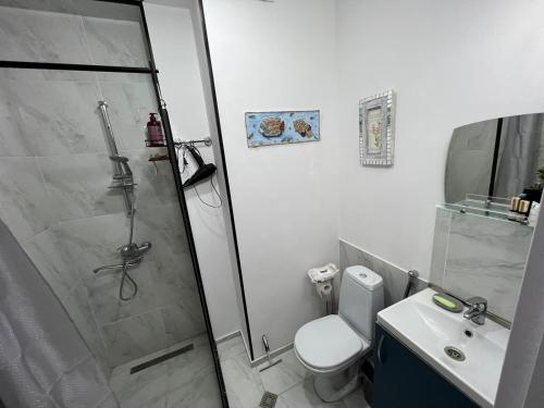 第比利斯Apartment Sunny Mood的带淋浴、卫生间和盥洗盆的浴室