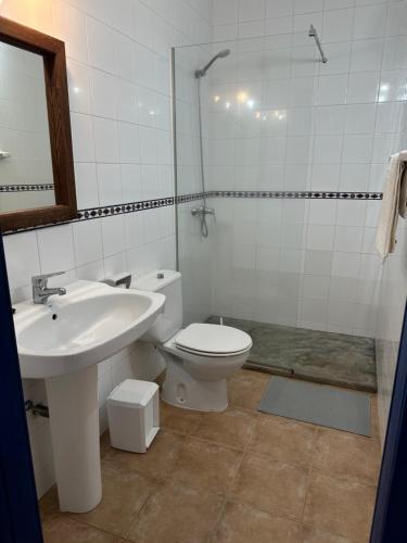 米乔尔海滩Estudi Es Carnatge的一间带水槽、卫生间和镜子的浴室
