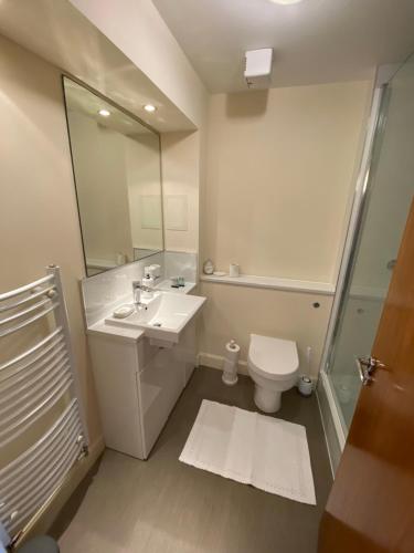 爱丁堡Old town, free parking, Outlander experience的一间带水槽、卫生间和镜子的浴室