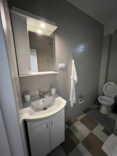 瓦列沃Apartman Antonovic的一间带水槽和卫生间的浴室