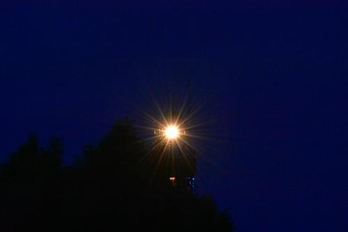 尼彻兹BLASK LATARNl的夜晚在树顶上点亮的光
