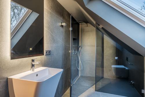 多特蒙德Sellmann´s Boutique Hotel的阁楼浴室设有水槽和淋浴。