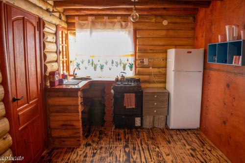 波特雷里约斯Rincón Lejano的小屋内的厨房配有冰箱和炉灶