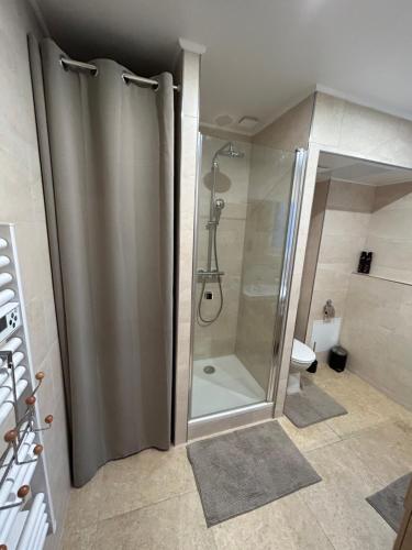 艾镇Champagne & Grand Cru的带淋浴的浴室和玻璃门