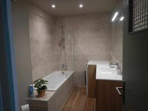 波城Studio Quartier Château - Wifi - Garage individuel à clé - Electroménager complet的带浴缸、水槽和淋浴的浴室