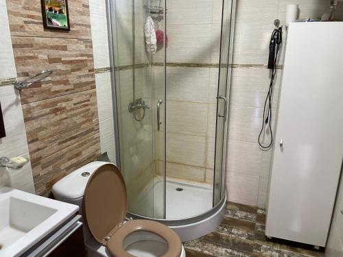 若雷吉贝里Los Fernández的带淋浴、卫生间和盥洗盆的浴室