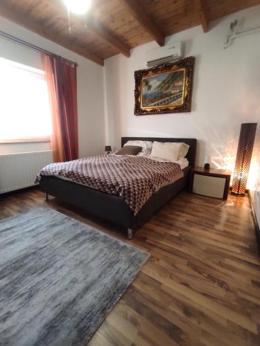 莫劳豪洛姆波罗斯缇安公寓的一间卧室设有一张大床和一个窗户。