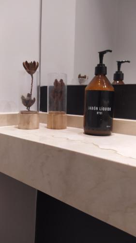 耶尔瓦布埃纳Duplex premium, excelente ubicacion II的上面有三瓶肥皂的柜台