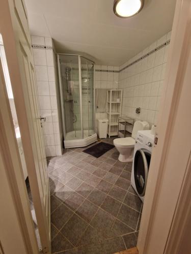 VidnesDet Gamle Meieriet的一间带卫生间和洗衣机的浴室