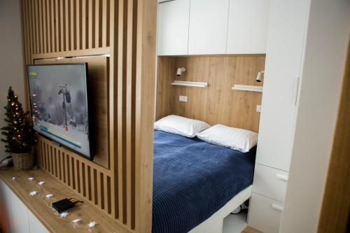 亚霍里纳Nomad Jahorina的一间卧室配有一张床和一台平面电视