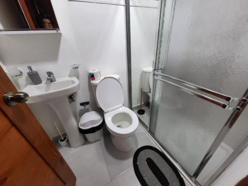圣地亚哥洛斯卡巴Hermoso y comodo apartamento的浴室配有卫生间、盥洗盆和淋浴。